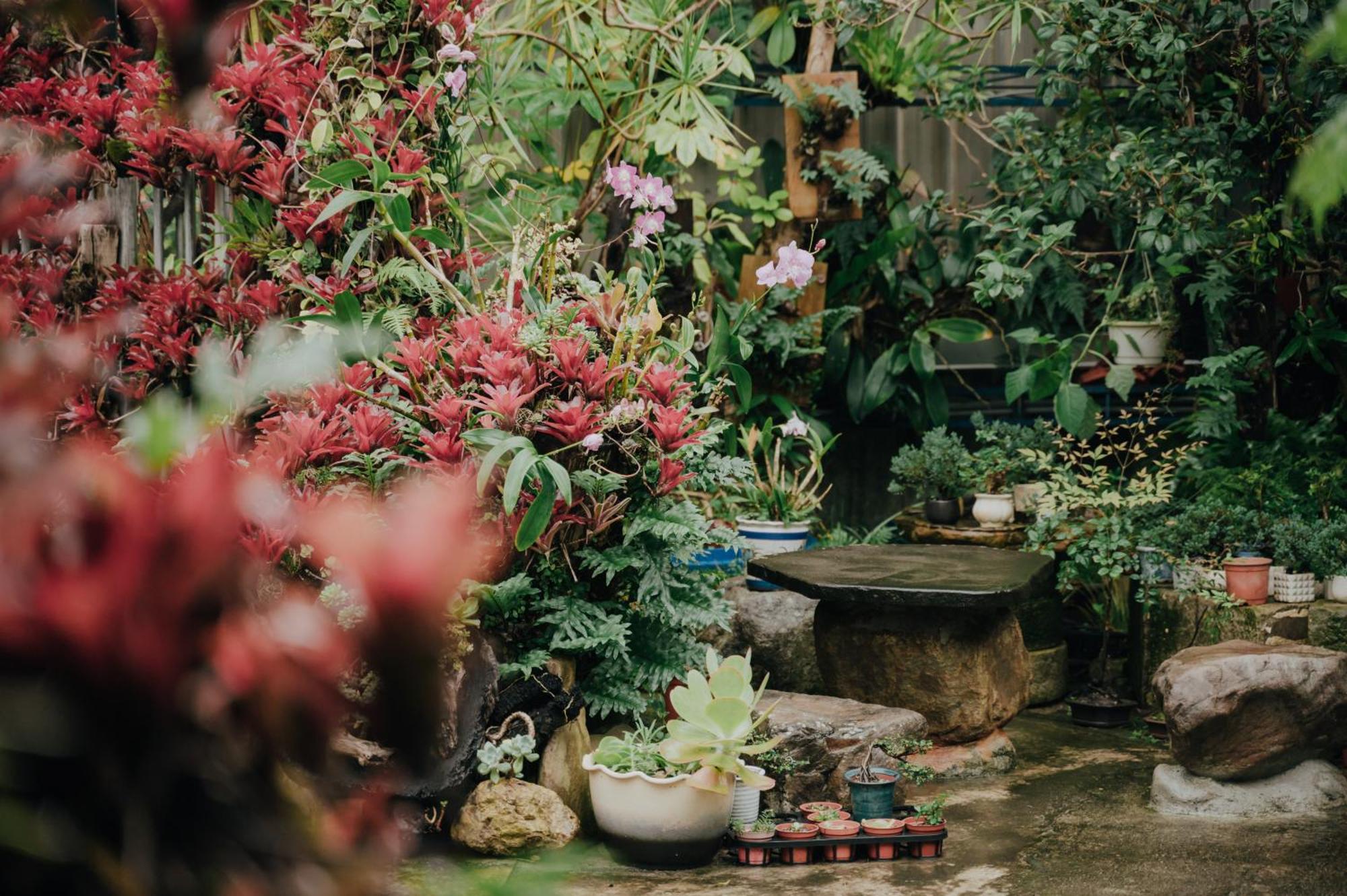 蘊慢築 茶花藝主題民宿 Yun Man Zhu Homestay Gongguan Esterno foto
